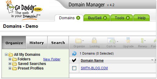 DomainManager